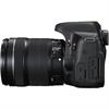 Canon EOS Rebel T6i 24.2 Megapixel DSLR Camera W/ 18-135mm IS Lens