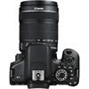 Canon EOS Rebel T6i 24.2 Megapixel DSLR Camera W/ 18-135mm IS Lens