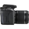 Canon EOS Rebel T6i 24.2 Megapixel DSLR Camera W/ 18-55mm Lens