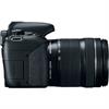 Canon EOS Rebel T7i DSLR Camera W/ 18-135mm Lens