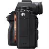 Sony Alpha a9 24.2 Megapixel Mirrorless Digital Camera (Body)
