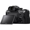 Sony Alpha a9 24.2 Megapixel Mirrorless Digital Camera (Body)