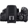 Canon EOS Rebel T8i DSLR Camera W/ 18-55mm Lens