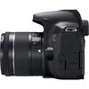 Canon EOS Rebel T8i DSLR Camera W/ 18-55mm Lens