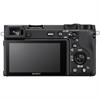 Sony a6600 Mirrorless Digital Camera with 18-135mm Lens